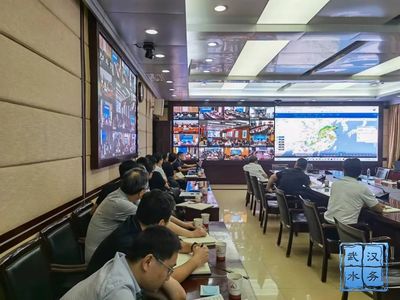 智慧水脈潤江城 武漢市人民政府門戶網站智能水務系統開發探析