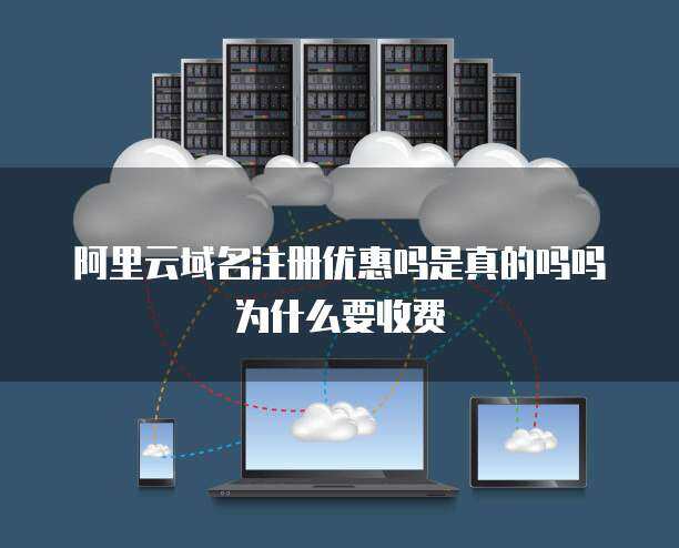 域名注冊(cè)安全嗎？收費(fèi)是為何？—— 探秘互聯(lián)網(wǎng)域名注冊(cè)服務(wù)